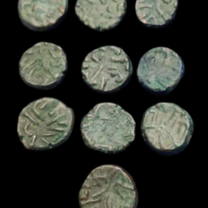Nagas of Padmawati ancient coin