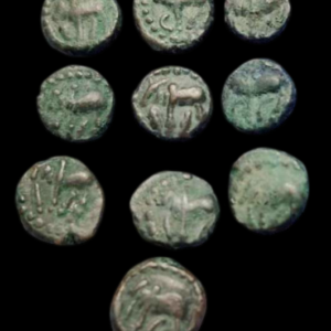 Nagas of Padmawati ancient coin