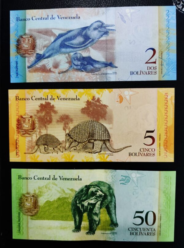 Venezuela Set of 3 UNC Banknote - Image 2