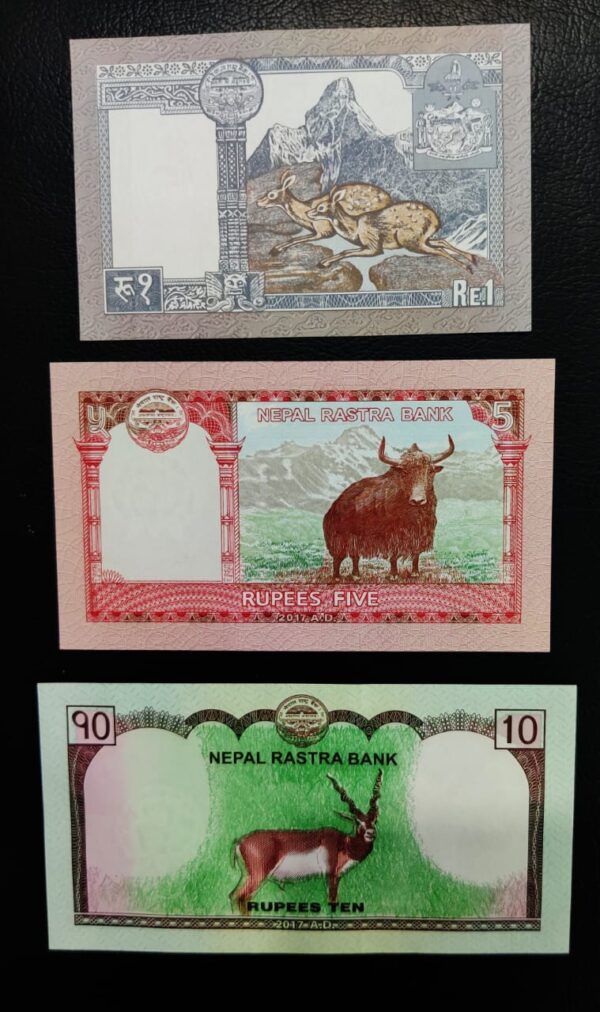 Set of 3 UNC Banknotes of Nepal - Image 2