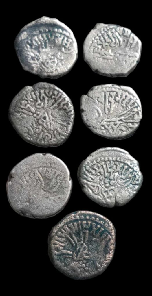 Western Kshatrapas Silver Drachm - Coinsstuff