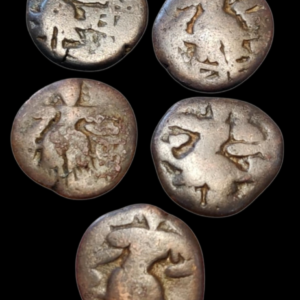 Kashmir Set of 5 different Hindu Rulers