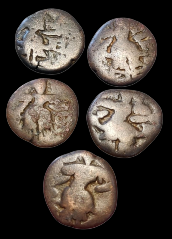 Kashmir Set of 5 different Hindu Rulers - Image 2